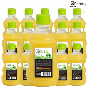 제주 감귤주스 제주랑 청귤 320ml (15입)