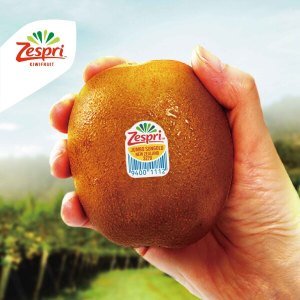 제스프리 ㅁ 골드키위 자이언트 사이즈 총 3.2kg (21입 개당 150g 내외)