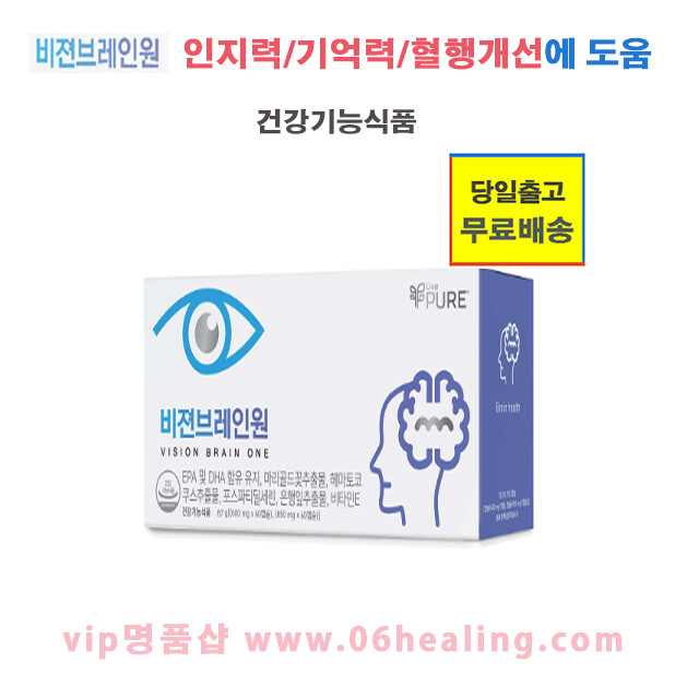 비젼브레인원