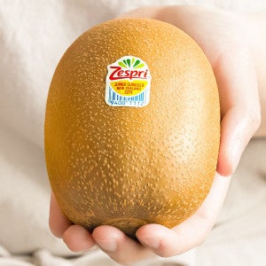 제스프리 (신선집중) 12%/ 제스프리 왕 슈퍼점보 골드키위 개당180g내외 1.8kg 공식인증 맛젤