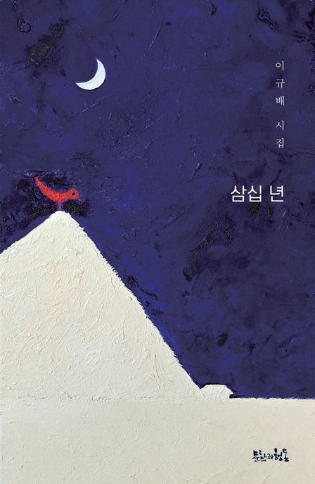 삼십 년  : 이규배 시집