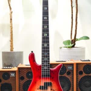 [스펙터 공식대리점/실재고보유/당일발송가능!!] Spector Euro CST 4 Poplar Burl-Natural Red Burst Gloss w/EMG Pickups & Eb