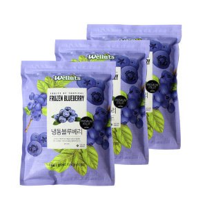 웰루츠 냉동 블루베리 3kg
