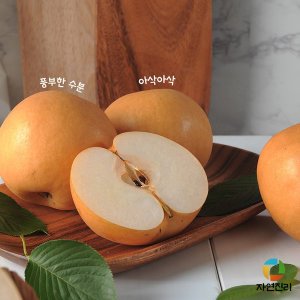 나주배 가정용 흠집배 배즙/양념/가공용 15kg 랜덤과
