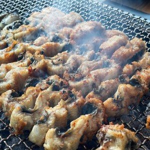 우체국쇼핑 고창 풍천 민물장어 자포니카 1kg(손질후600g)