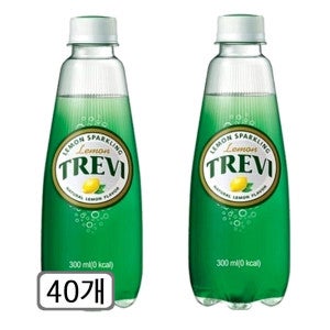 롯데칠성 트레비 플레인 300ml 40개 탄산음료 오픈세일