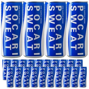 동아오츠카 갈증해소 이온음료 포카리스웨트 240ml x 24캔