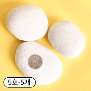 세경팜 납작한 크림자갈 5호 5개 그림그리기돌 납작돌 에그스톤 조약돌 화분마감재 조경 자갈