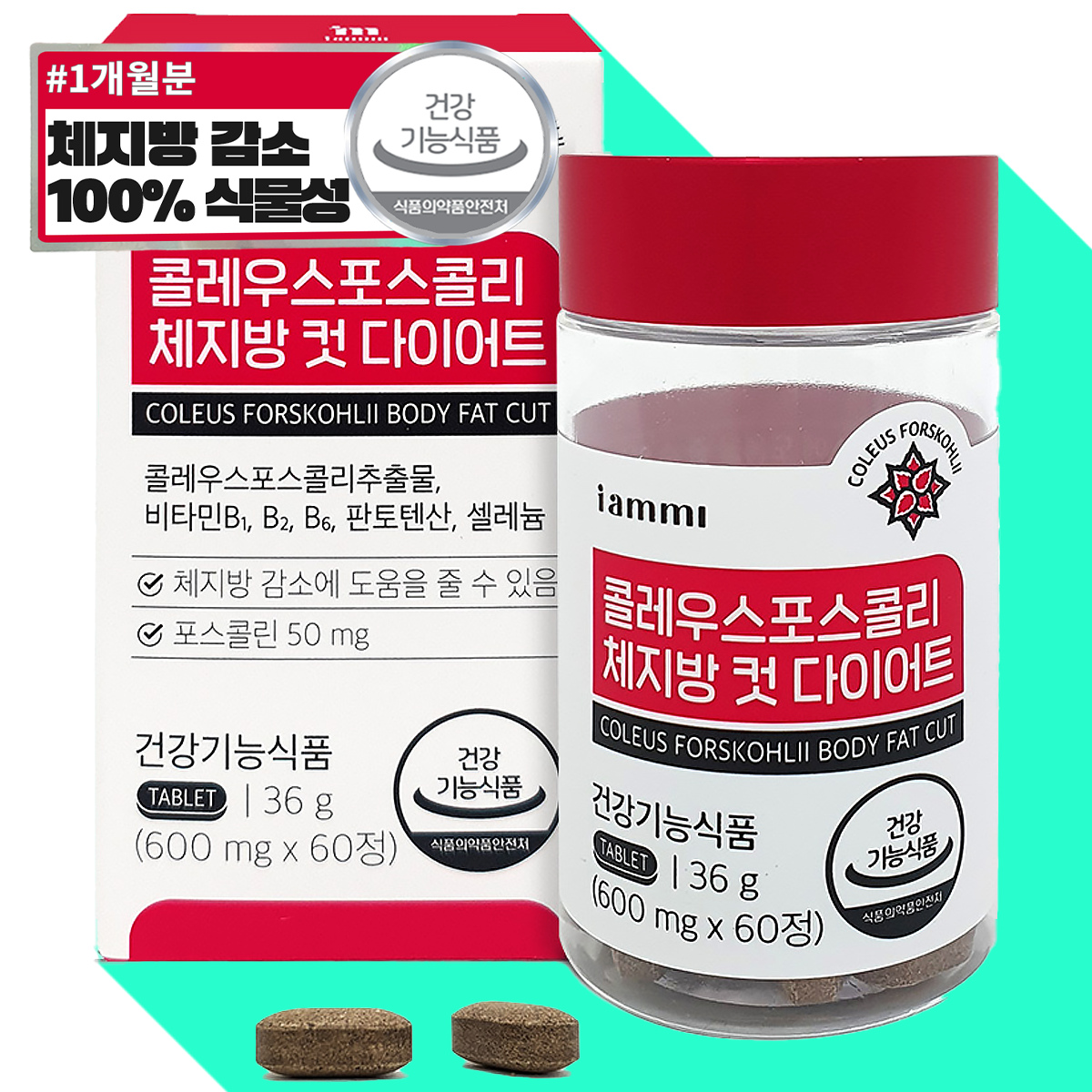 밸런스 콜레우스 다이어트