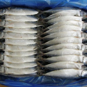 건어물천국 자반 고등어 24손48마리 28cm 가정용 업소용 벌크상품
