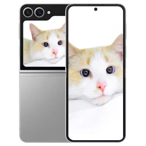 삼성전자 갤럭시 Z플립6 256GB  실버 쉐도우