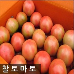 명품찰토마토 10kg(3번)중과