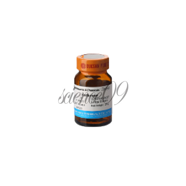 <b>산화 아연</b> 나노파우더 - (시)10g