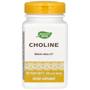 네이처스웨이 콜린 Choline 500mg 100정