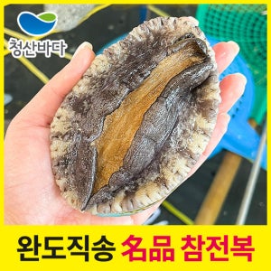 [청산바다] 완도 활전복 특대 7-8미 1.5kg (11-12마리)