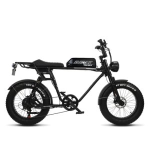 [모토벨로] FN20 PAS 500W 48V 20Ah 자토바이 전기자전거 FN20