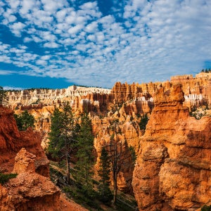 멕시코 칸쿤 7박9일 여행 패키지 라스베가스 9일 하얏트 지라 몬테카를로