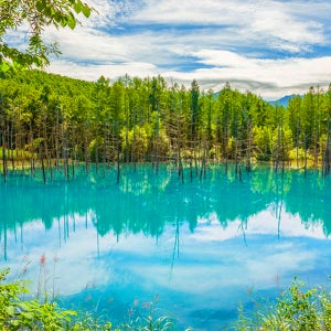 일본저가여행 패키지 7월 가족해외여행 홋카이도 3박4일 대게요리 온천2박 대한항공