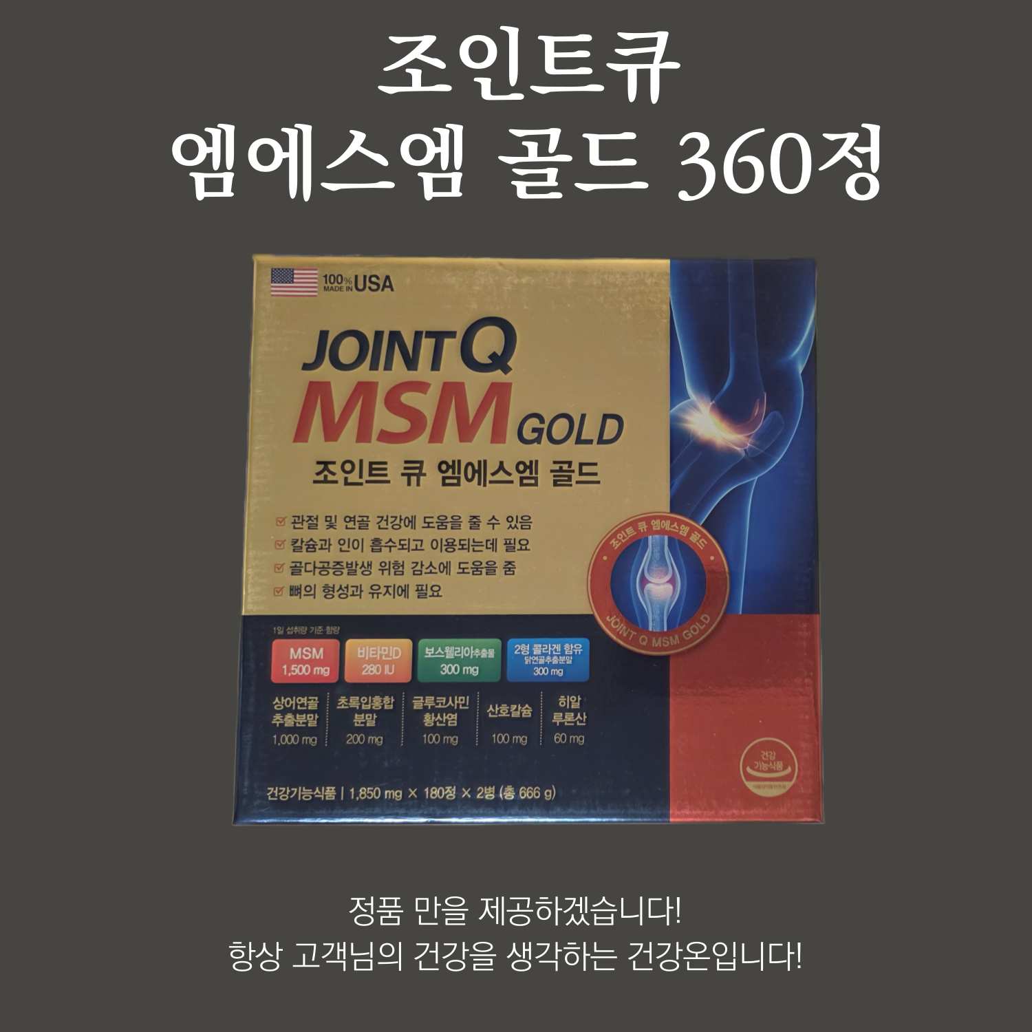 조인트 큐 엠에스엠 골드