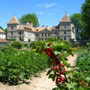 스위스 프랑쟁 성(Chateau de Prangins) 입장권