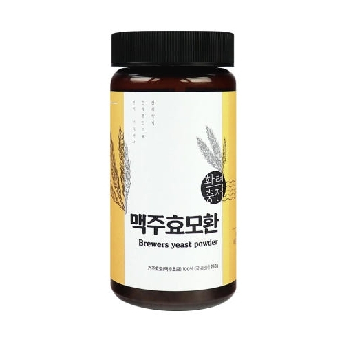 환력충전 <b>맥주효모</b>환 250g, 1개