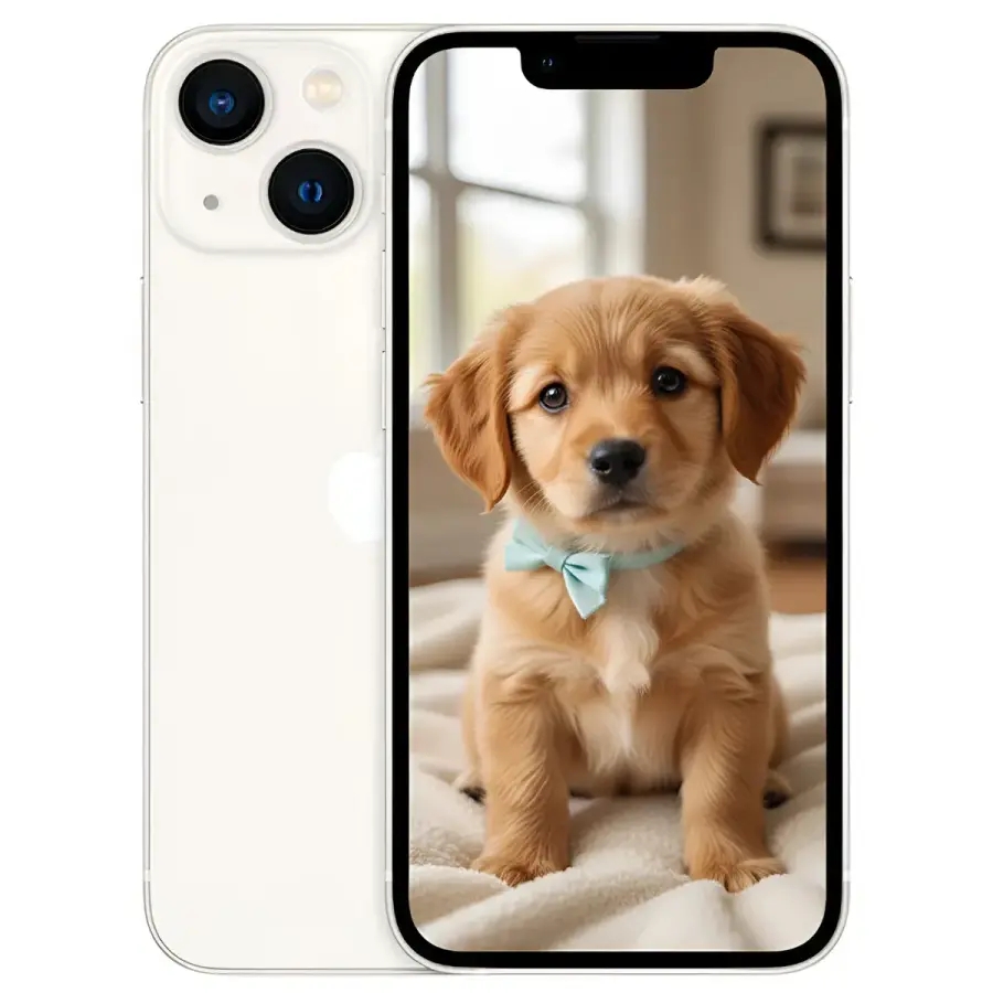 Apple 아이폰 (첫 아이폰)