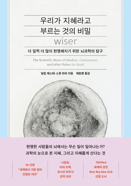 우리가 지혜라고 부르는 것의 비밀  : 더 일찍 더 많이 현명해지기 위한 뇌과학의 탐구