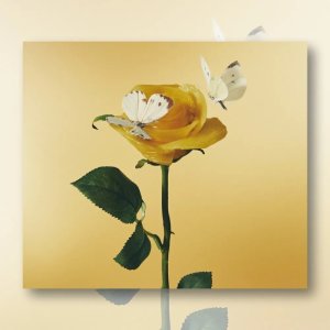 아이묭 3집 정규 앨범 CD 2장 초회한정판 제이팝 일본음악