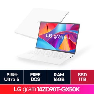 LG그램 14인치 14ZD90T-GX50K / SSD 1TB 교체 ON