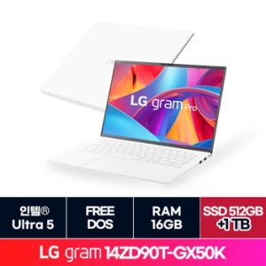 LG그램 14인치 14ZD90T-GX50K + SSD 1TB 추가 ON