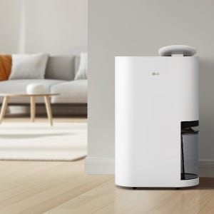 [으뜸효율 대상] LG 휘센 오브제컬렉션 제습기 DQ185MWGA