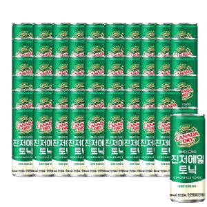 캐나다드라이 캐나다 진저에일 토닉 250ml x 60CAN