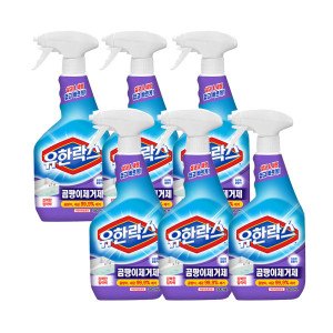 유한락스 유한락스 곰팡이제거제 500ml 6개/곰팡이 락스