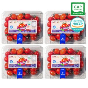 (신선집중) 스테비아 대추방울 토망고 2kg (500g 4팩) 아이스박스 포장
