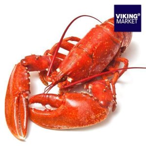 L)바이킹마켓 점보랍스터 3마리 (총 3~3.3kg) TV상품