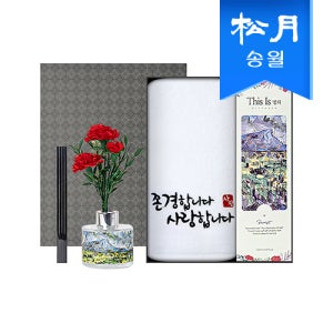 가정의달 명화 디퓨저 카네이션 타올 선물세트(디퓨저120ml1+존경합니다1)