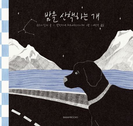 밤을산책하는개