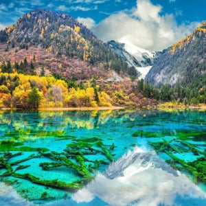 쓰촨성 서부 파노라마 아바 5일 투어 주자이거우 & 쓰구냥산