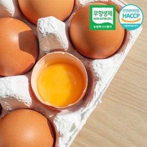 [롯데백화점] 자연맛남 HACCP인증 무항생제 농장직송 달걀 생계란 대란 30구 1판 LE1219394287