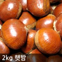 2023 햇밤(대) 2kg ~ 4kg 깐밤가능 공주부여 알밤 /하양마트