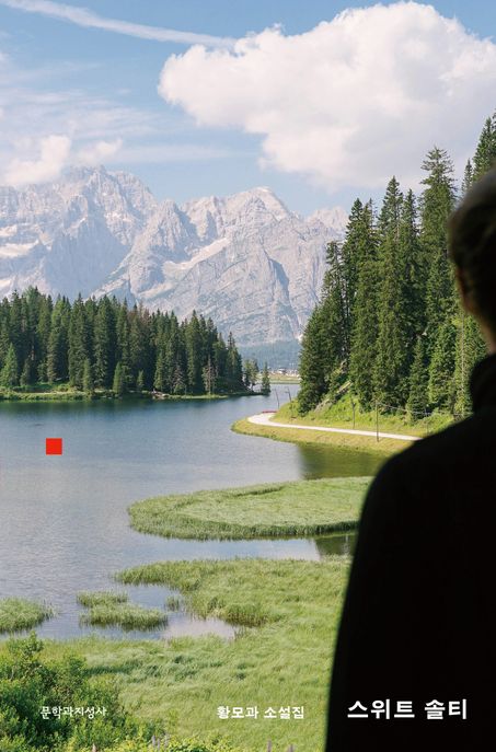 스위트 솔티 : 황모과 소설집 표지