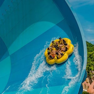 용인 캐리비안베이 자유이용권 종일권 오후권 (바로사용가능)