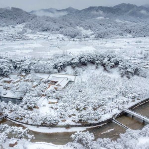 [기차여행] 세계문화유산 영주 부석사와 소수서원 & 한우 미식 투어