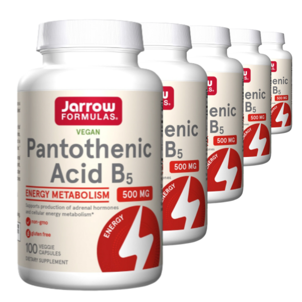 자로우포뮬러스 5통 Jarrow 재로우 펜토텐산 B5 500mg 100 캡슐