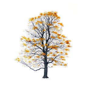 Magis TREE AUTUMN - Painting 8488658436441