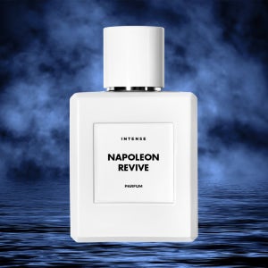 나폴레옹 리바이브,크리드 어벤투스 50ml 듀프 클론 카피 재현 타입 저렴이 대체 향수