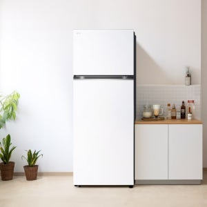 LG 일반냉장고 오브제컬렉션D463MHH33