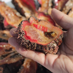 바다향이 진한 특별한 맛 거제도 자연산 돌멍게 1kg