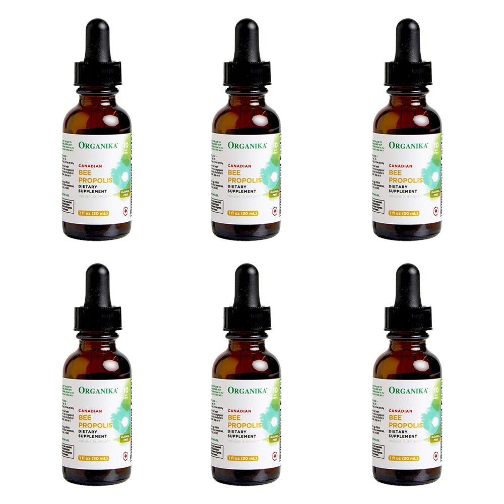 캐나다 <b>오가니카</b> 비프로폴리스 액상 30ml 6개 Organika BEE PROPOLIS