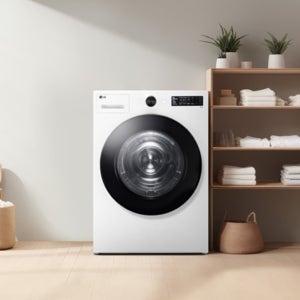 LG 트롬 오브제컬렉션 건조기 RG19WN